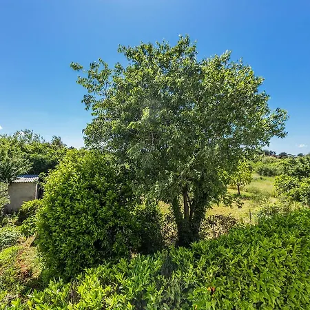 Adriano 2br With Terrace Appartement *