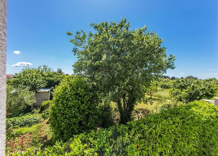 Adriano 2br With Terrace Appartement *